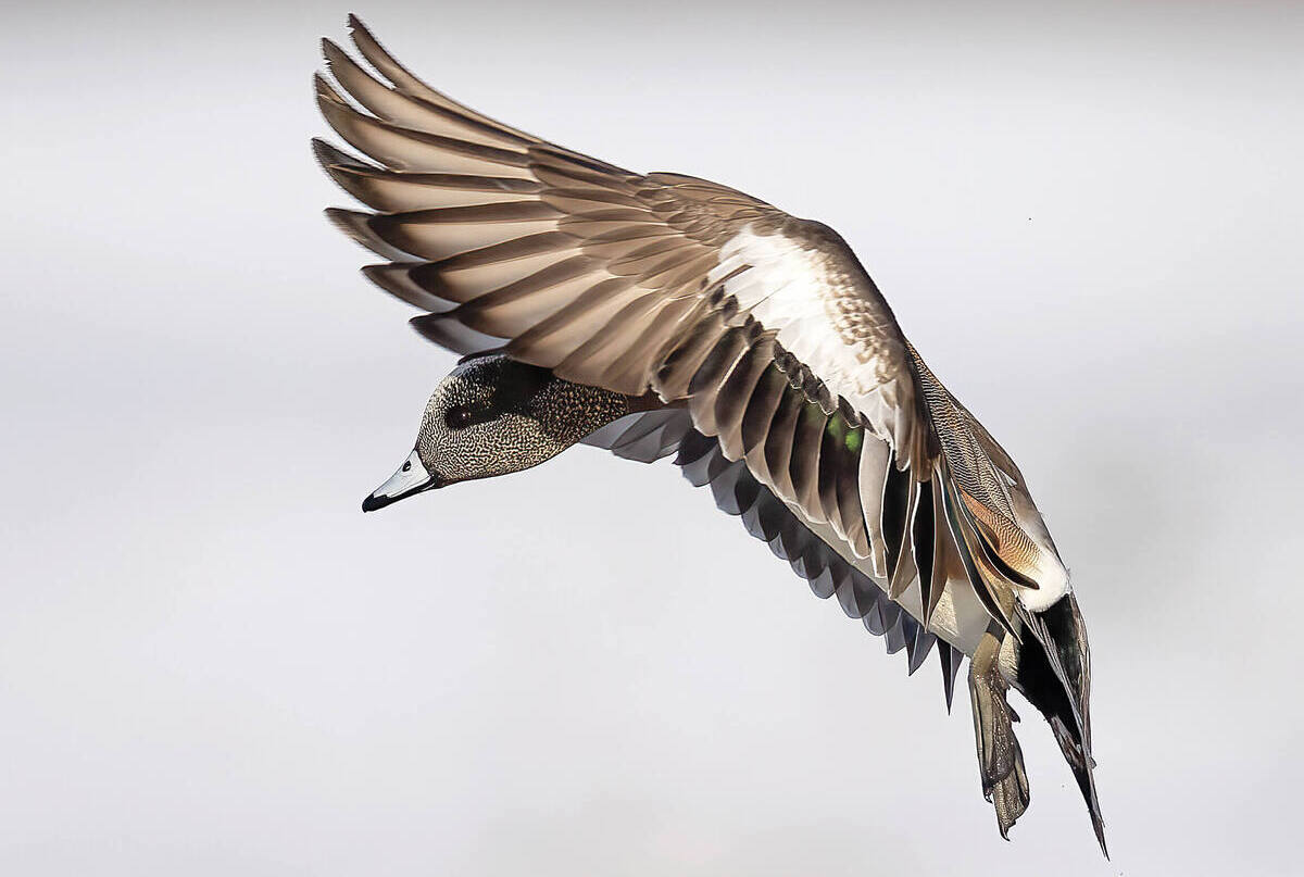 2023 DU Member Photo Contest